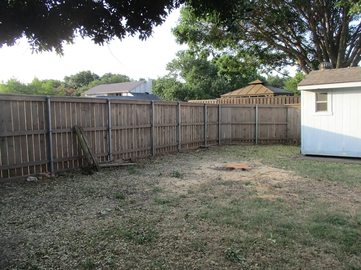 Cleared yard after professional tree removal in Ten Sleep